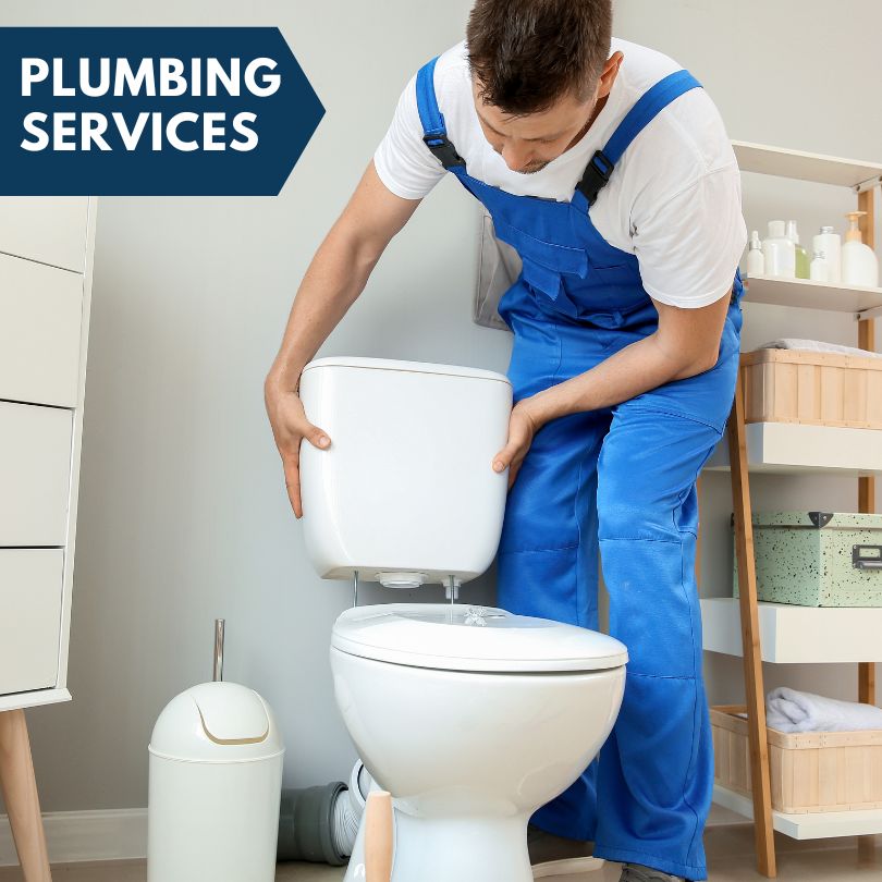 Plumbing Company in Cook, MN